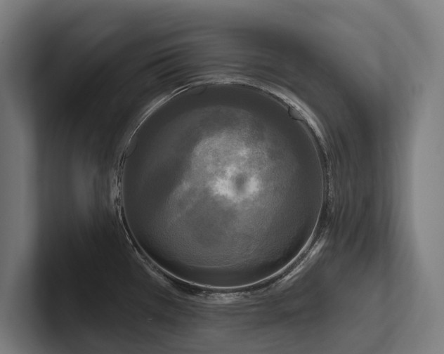 X0000102401385200808011538
