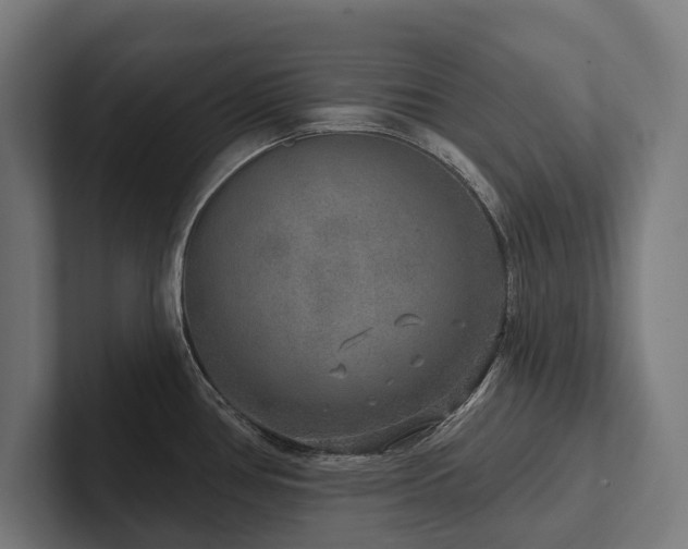 X0000102401386200808011538