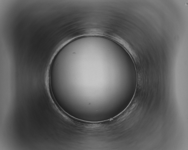 X0000102401387200808011537