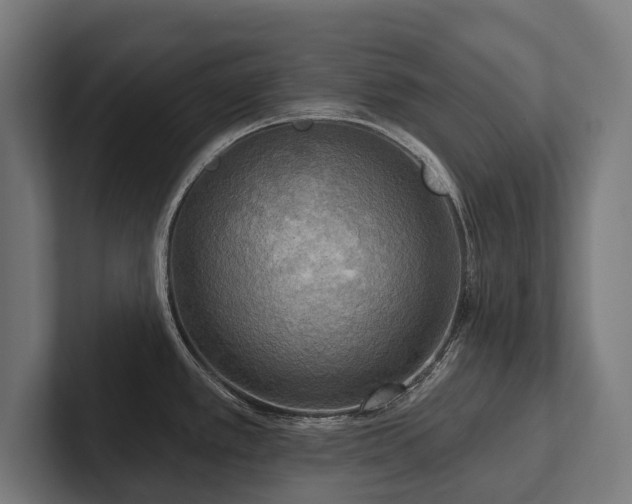X0000102401389200808011537