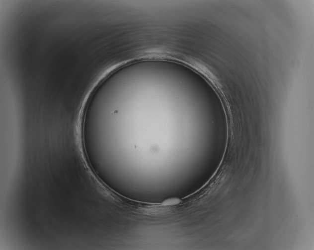 X0000102401392200808011537