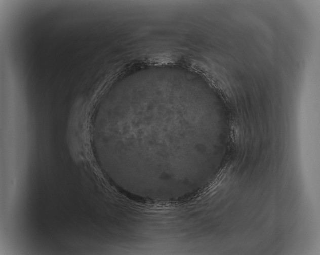 X0000102401393200808011537