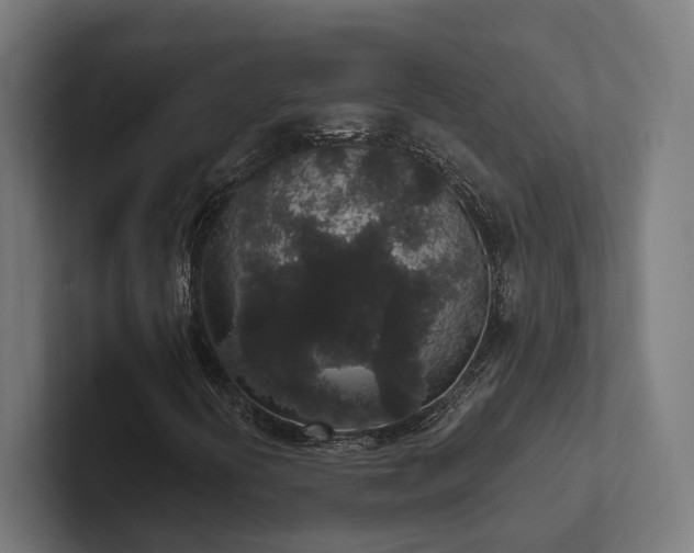 X0000102401394200808011537