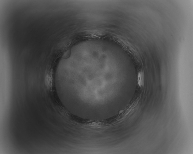 X0000102401395200808011537