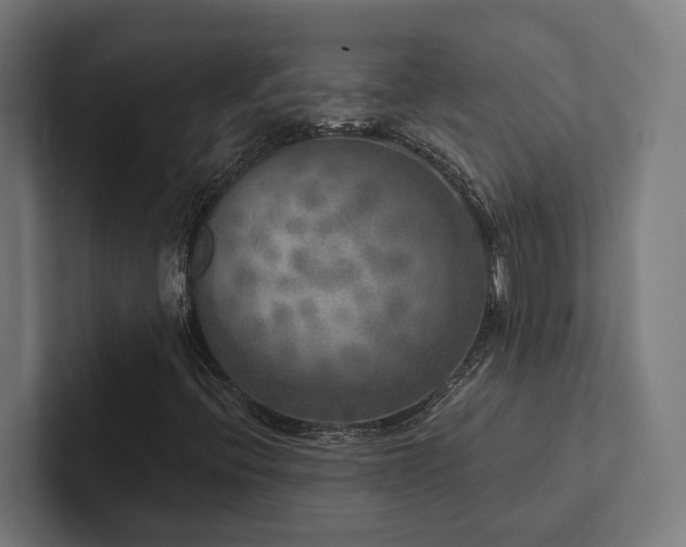 X0000102401396200808011537