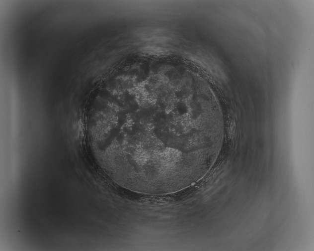 X0000102401397200808011537