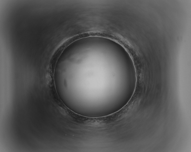 X0000102401400200808011537