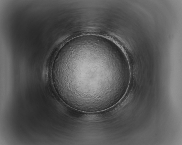 X0000102401402200808011537