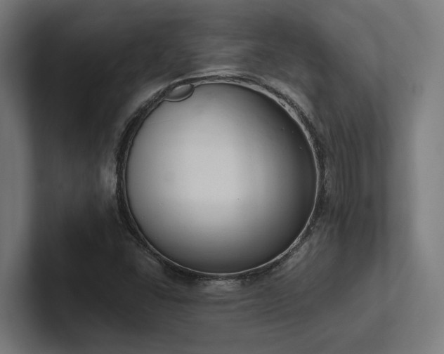 X0000102401406200808011537