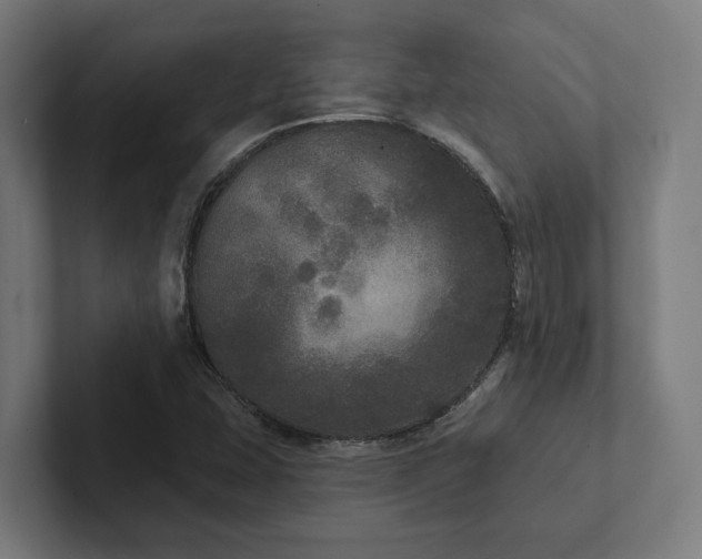 X0000102401407200808011537
