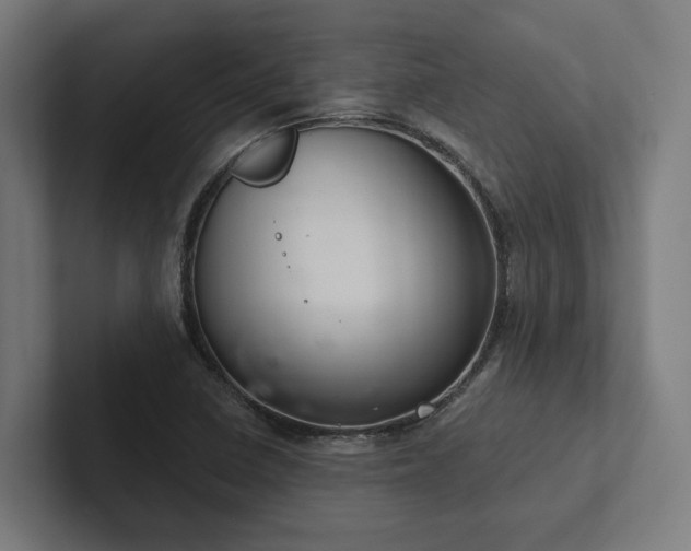 X0000102401410200808011537