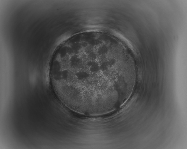 X0000102401411200808011537