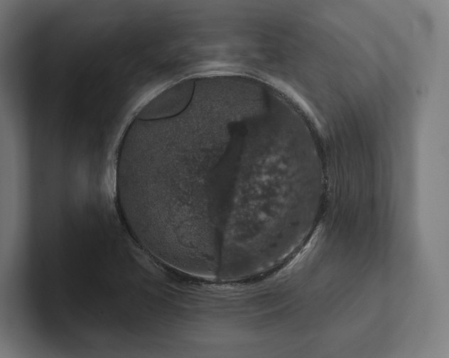 X0000102401413200808011537