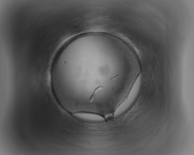 X0000102401416200808011537