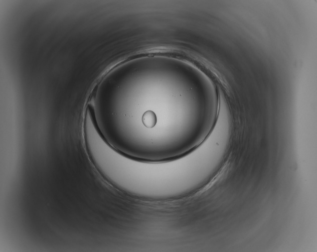 X0000102401417200808011537
