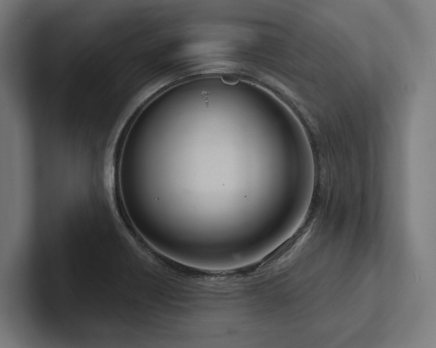 X0000102401418200808011537