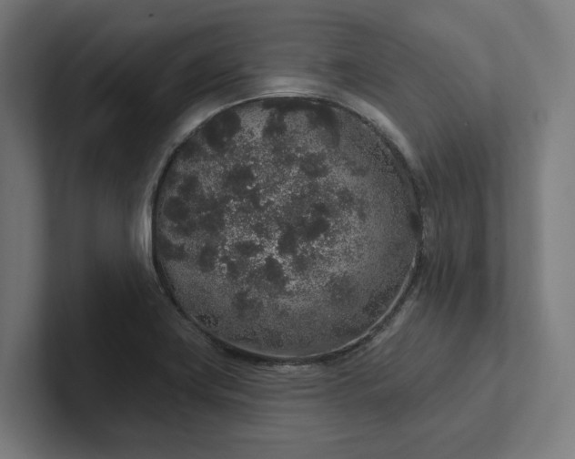 X0000102401419200808011537