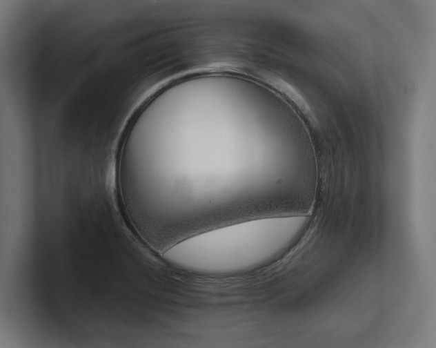 X0000102401420200808011537