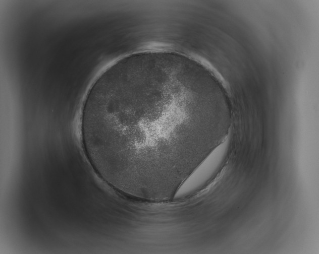 X0000102401421200808011537