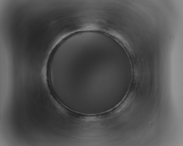 X0000102401422200808011537