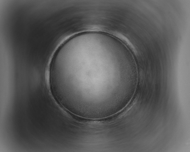 X0000102401424200808011537