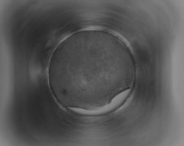 X0000102401425200808011537