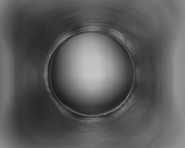X0000102401426200808011537
