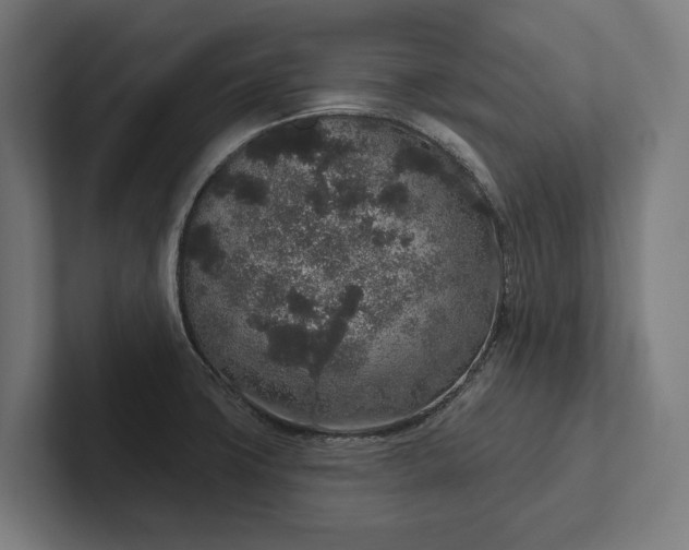 X0000102401427200808011537