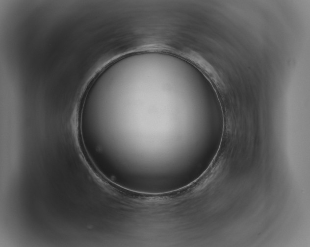 X0000102401430200808011537