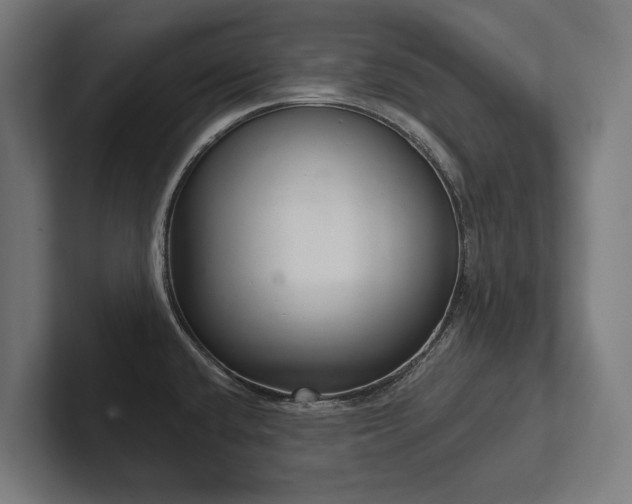 X0000102401432200808011537