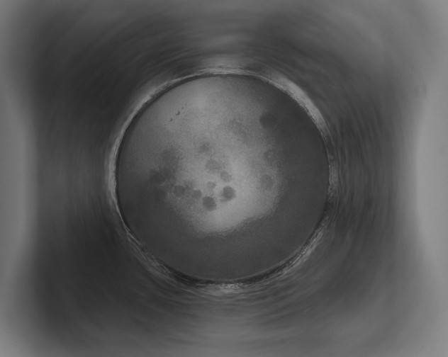 X0000102401435200808011537