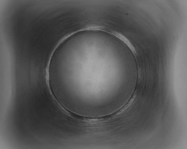 X0000102401436200808011537