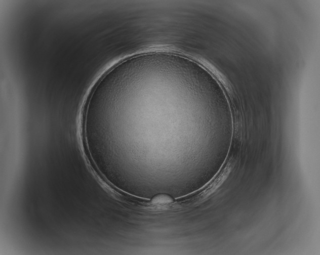 X0000102401438200808011537