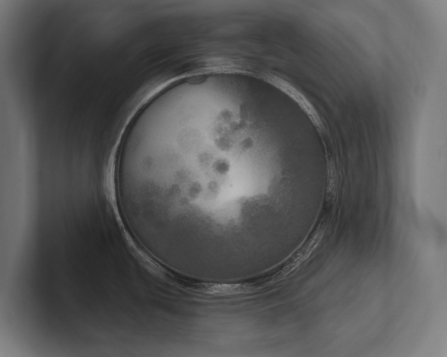 X0000102401439200808011537