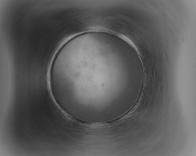 X0000102401440200808011537
