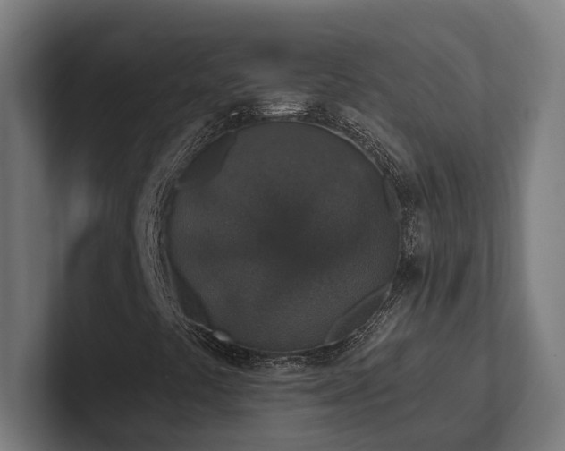 X0000102401441200808011537