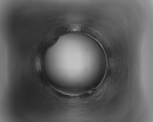 X0000102401442200808011537