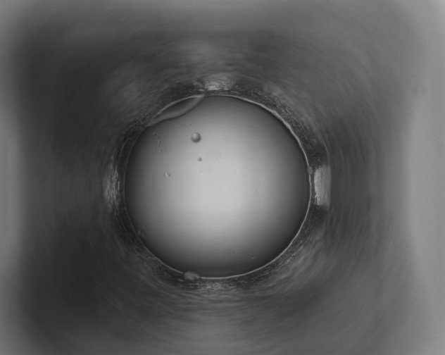 X0000102401443200808011537