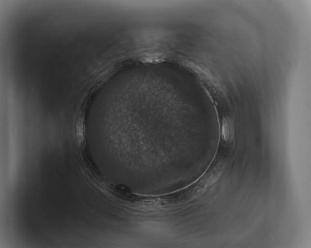X0000102401444200808011537