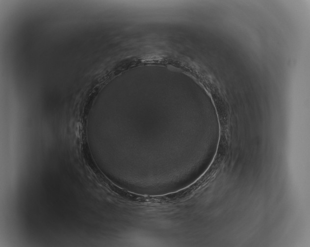 X0000102401445200808011537