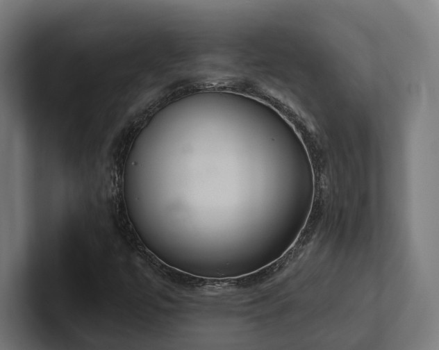 X0000102401447200808011537