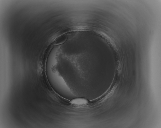 X0000102401449200808011537