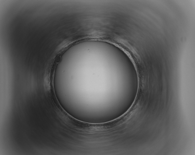 X0000102401451200808011537