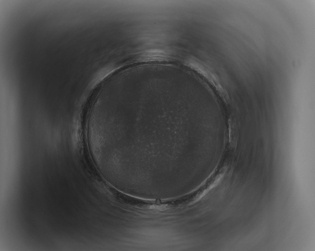 X0000102401453200808011537