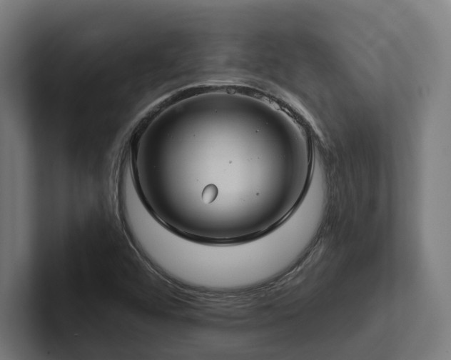 X0000102401456200808011537