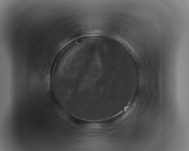 X0000102401457200808011537