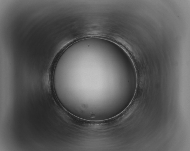 X0000102401458200808011537