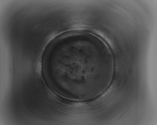 X0000102401459200808011537