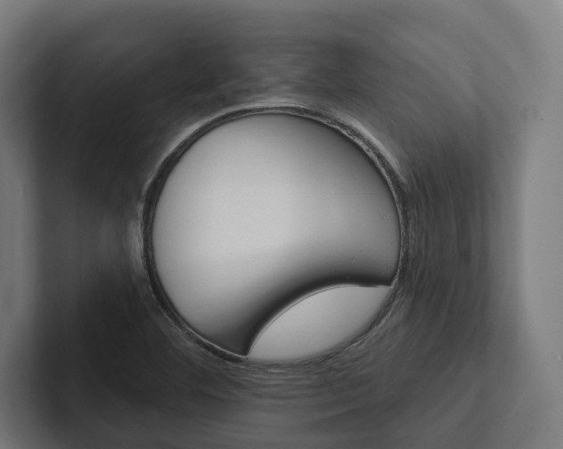X0000102401460200808011537