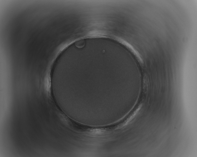 X0000102401461200808011537